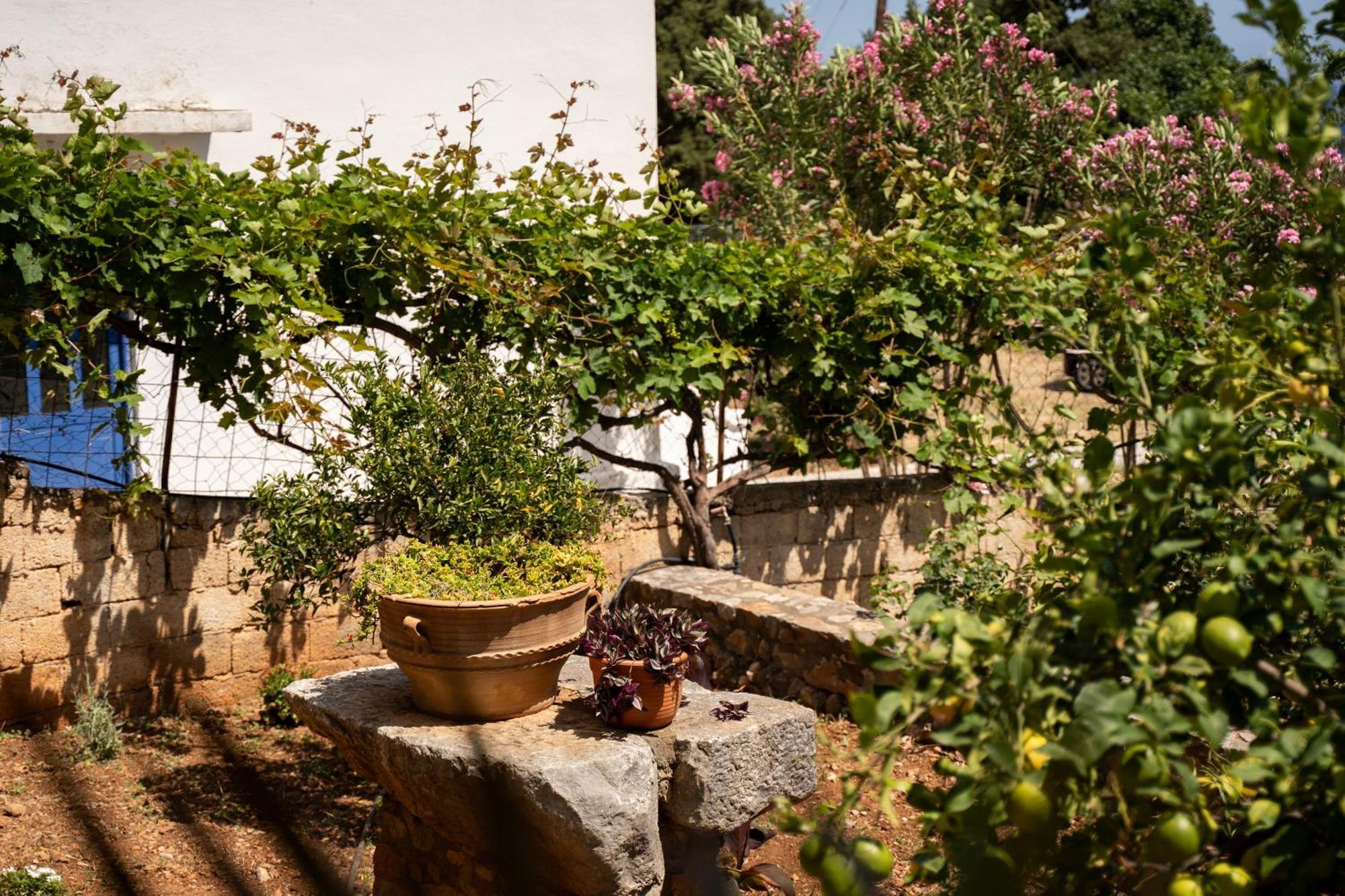 Artemisa House Apartment Agia Roumeli Exterior photo